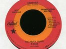 THE PAPER TRAIN Brothers on Capitol Promo Fuzz Psych 45 Hear