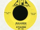 AVALONS Malanese on NPC R&B Doo Wop Rocker 45 Hear