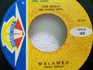 LOS MIRLOS MALAMBO  CUMBIA   # 252 LISTEN