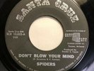 SPIDERS   DON’T BLOW YOUR MIND   Rare Orig. ‘66 AZ Garage Psych 45 Alice Cooper