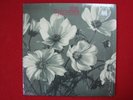 SPINANES Arches And Aisles LP SUB POP Vinyl Original NM Shrink