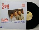 12' JOY---HELLO (ITALO/EURO) (NM)