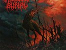 Faceless Burial-Grotesque Miscreation (UK IMPORT) VINYL NEW