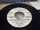 Beas 45 Doctor Goldfoot & The Bikini Machine mod freakbeat tittyshaker soul PROM