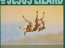 Jesus Lizard-Down (Deluxe) VINYL NEW
