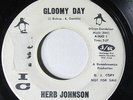 HERB JOHNSON-GLOOMY DAY ON ARTIC DEEP SOUL 45-HEAR