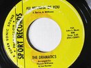 DRAMATICS-ALL BECAUSE OF YOU ON SPORT NORTHERN 45-VG++, HEAR