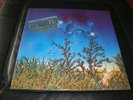 DSCHINN FIZZ--There Is A Playne Difference, Private German Hardrock  UNPLAYED  M