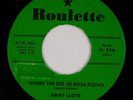 JIMMY LLOYD: Where the Rio De Rosa Flows US Roulette Rockabilly 45 HEAR