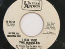 THE HASSLES I HEAR VOICES 7