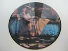 DAVID BOWIE  THE MAN WHO SOLD THE WORLD  PICTURE DISC LP