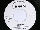 Johnny Jack LAWN White Label Promo 230 MINT SOUL GROUP SOUND 45