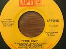 CHOICE OF COLOUR Your Love APT 1972 Rare Northern Soul  Allen Toussaint Hear