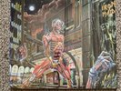 Iron Maiden Somewhere In Time Vinyl 1986 Shrink