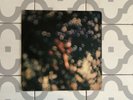 Pink Floyd Obscured By Clouds SHSP4020 Gramophone Harvest A2 B2 LP Record EX