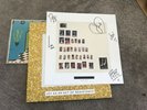 IDLES Signed Joy As An Act Of Reistance Deluxe LP With Bonus 7 Inch