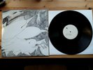 RUDIMENTARY PENI echoes of anguish LP original press outer himalayan 1997 