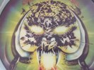 Motörhead - Overkill / Picture LP / Picture Vinyl / Pic LP