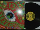13TH FLOOR ELEVATORS: The Psychedelic Sounds Of LP (180g reissue, mono, nm)