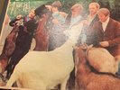 1966 Beach Boys Pet Sounds LP Vinyl Album Capitol Records ?T 2458 VG/VG Mono