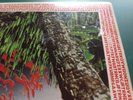 AGHARTA  MILES DAVIS  VINYL DOUBLE  LP. UNPLAYED