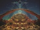 Chris Robinson Brotherhood-Big Moon Ritual VINYL NUEVO