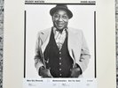 Muddy Waters - Hard Again - Blue Sky 1977 - White Label Promo - NM