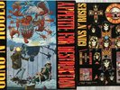 Guns N' Roses ?– Appetite For Destruction, Vinyl, 1. PRESS 1987, inklus. Sticker