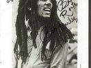 REGGAE LP - BOB MARLEY & WAILERS 