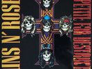 Guns N' Roses Appetite For Destruction 2 LP 180 Vinyl Album DELUXE FOIL EDITION