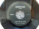 RARE MICHIGAN GARAGE ROCK-FENTON RECORDS 948-SUE AND THE DYNAMICS-45-(NM-)