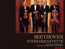 Wiener Musikverein Quartett Beethoven Streichquartette 10LP TOWER RECORDS JAPAN