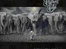 Allman Brothers Band Hittin The Note 2 Lp (Gatefold LP Jacket, Indie Exclusive)