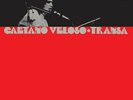 Caetano Veloso - Transa Vinyl LP Elemental NEU