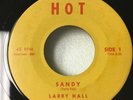 LARRY HALL “SANDY/LOVIN TREE” RARE YELLOW LABEL HOT H-1 M- Z99