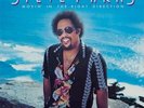 Steve Parks - Movin' In The Right Direction [New Vinyl LP]