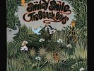 VINYL LP Beach Boys - Smiley Smile UK Pressing 1st Pressing stereo NM-