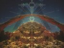Big Moon Ritual [VINYL]