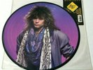BON JOVI - Slippery When Wet (1986 Vinyl,LP,Album,Picture Disc,Limited Picture)