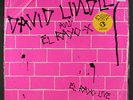 DAVID LINDLEY & EL RAYO-X: El Rayo Live LP (Germany, shrink) Rock & Pop