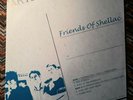 *RARE* SHELLAC The Futurist, Friends Of + 11 Ovens Demo  GREEN VINYL  ALBINI