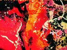 |060816| Gabor Szabo - Bacchanal (Lp) [LP x 1 Vinyl] New