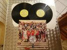 DOUBLE LP BURNING AMBITIONS - A HISTORY OF PUNK - DAMNDED/VIBRATORS/BUZZCOCKS/