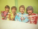 THEBEATLES CARDBOARD COUNTER TOP DISPLAY for SGT. PEPPER LONELY HEARTS CLUB BAND
