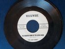 Rare 1964 Girl Group 45 - The Lady Birds On Wickwire 45-13010. Phil Spector Fair