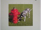Signals by Rush (LP, 1982 Anthem, Canada,  ANR-1-1038)