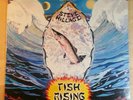SEALED STEVE HILLAGE  Fish Rising  VIRGIN LP VR13-118 KHAN GONG  SYSTEM 7 1975