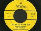hear RARE BACK FROM THE GRAVE Garage 45 EMERALDS Like Father Like Son NE HONEY