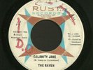 hear MOD SOUL FUZZ GARAGE DANCER 45 RAVEN Calamity Jane RUST
