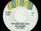 THE SKYLINERS * One Night, One Night * CALICO * US Doo Wop Rock’n'Roll 45 * MP3